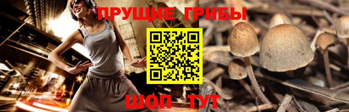 Псилоцибиновые грибы ЛСД Ростов Великий
