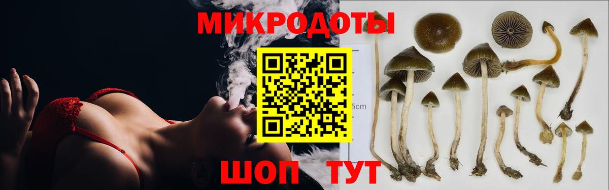 Галлюциногенные грибы Psilocybine cubensis  Вход с VPN  Ростов Великий  Галлюциногенные грибы GOLDEN TEACHER 